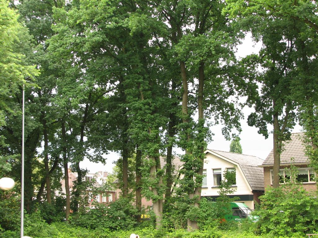 2008_06_14 algemeen (25).jpg